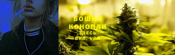 гидра Волоколамск