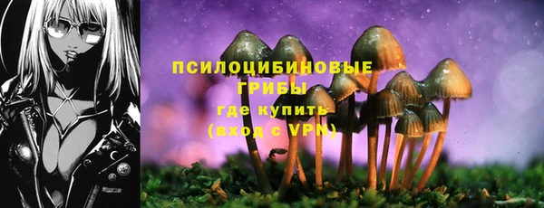 ПСИЛОЦИБИНОВЫЕ ГРИБЫ Володарск