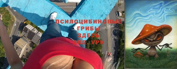 гидра Волоколамск