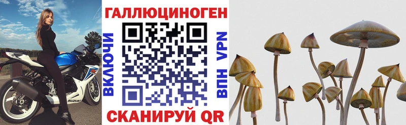 Псилоцибиновые грибы MAGIC MUSHROOMS  Купить  Нестеров 