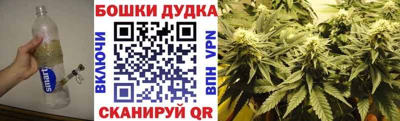 Купить где  Нестеров  Конопля SATIVA & INDICA 